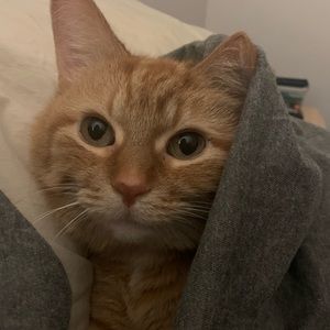 Meet your Posher, Dana